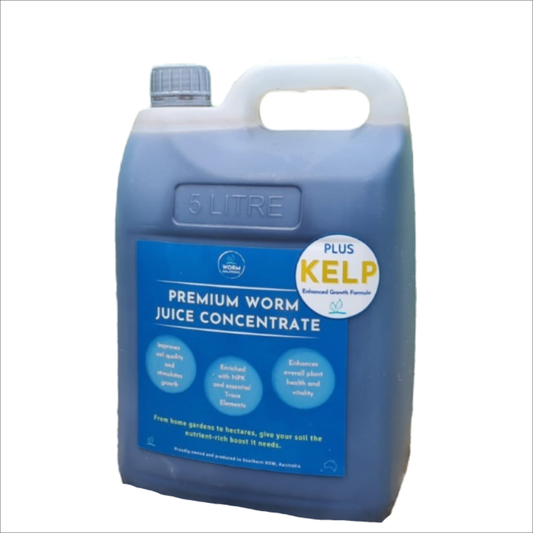 Premium Worm Solutions Worm Juice + KELP - 5L