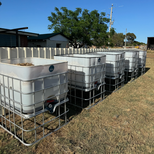 Premium Worm Farm Factory Kit