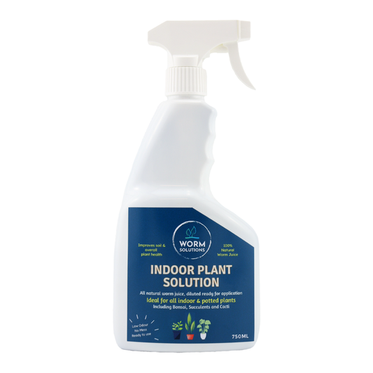 Premium Worm Solutions Worm Juice - 750ml Indoor Plant Solution Spray Bottle
