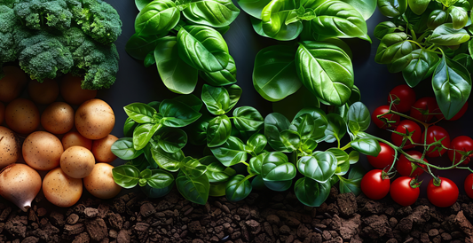 Worm Solutions - The Comprehensive Benefits of Worm Juice