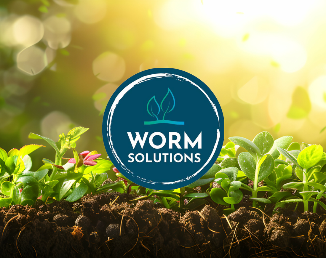 Worm Solutions Relaunch: Trusted Products, Safe eCommerce, and Expert Guidance