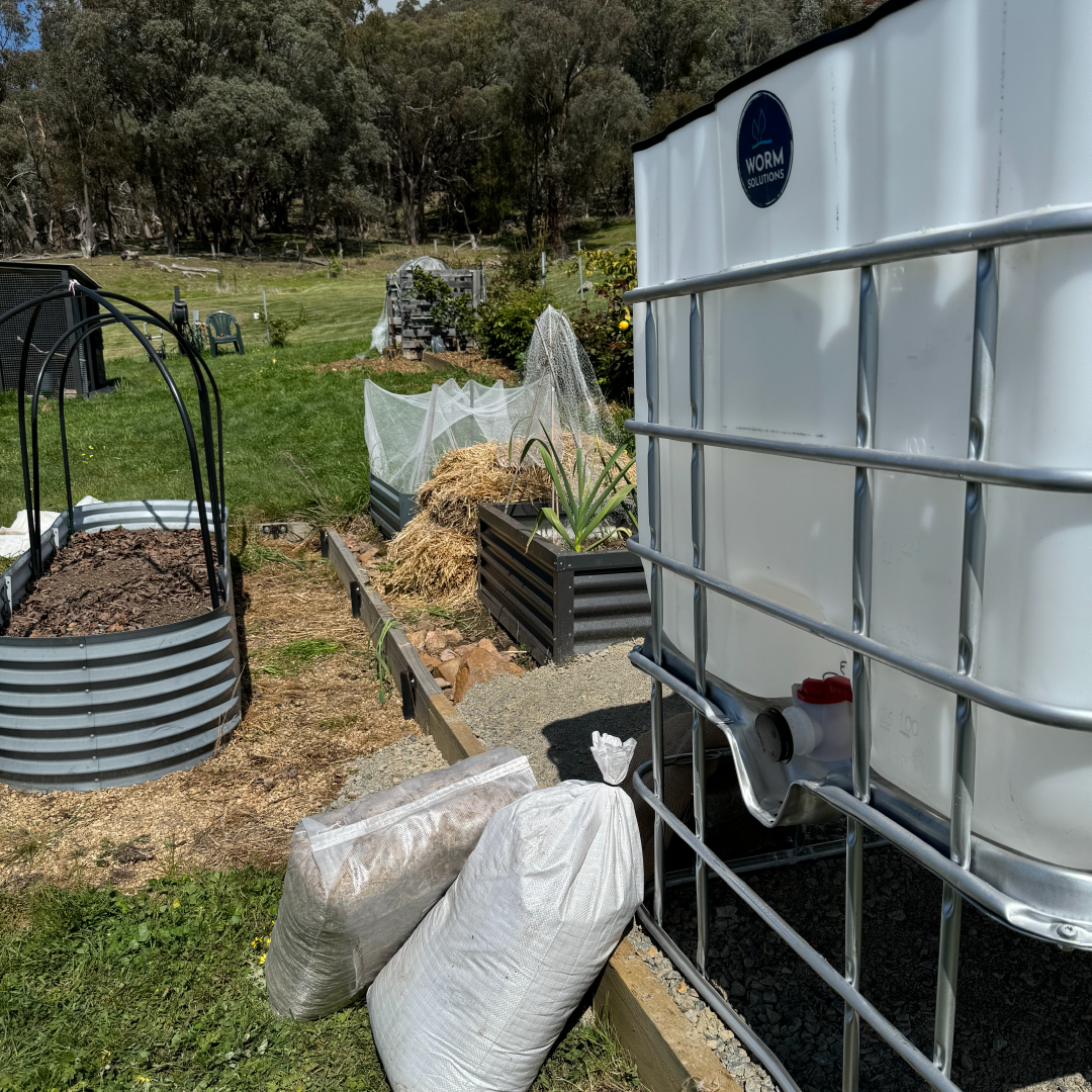Premium Worm Farm Factory Kit